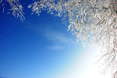 Similar image 502357