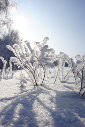 Similar image 502375