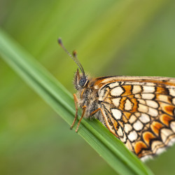 Similar image 502395