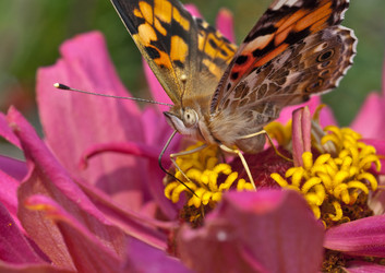 Similar image 502404