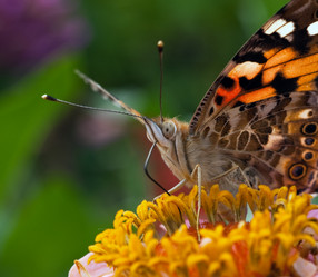 Similar image 502405