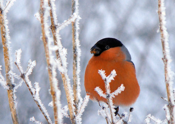 Similar image 502408