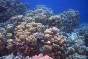 Similar image 502426