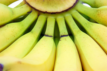 Similar image 502454