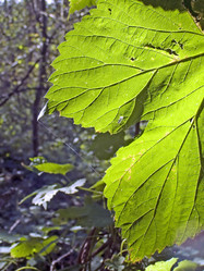 Similar image 502456