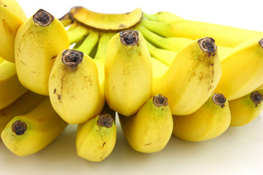 Similar image 502459