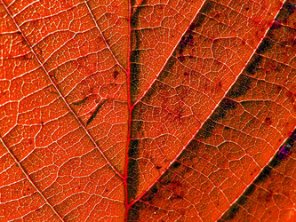 Similar image 502473