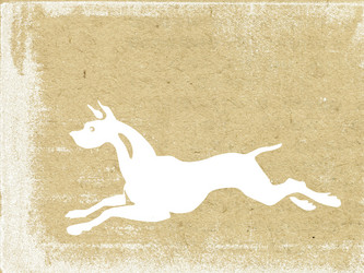 Similar image 502475