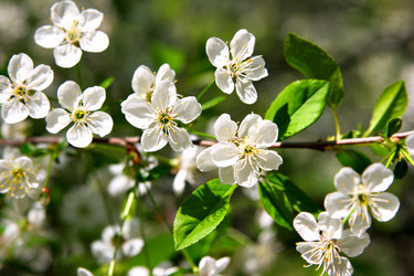 Similar image 502510