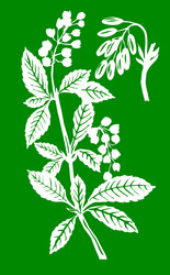 Similar image 502511