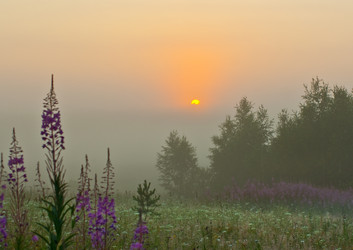 Similar image 502518