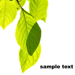 Similar image 502536