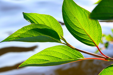 Similar image 502539