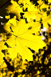 Similar image 502545