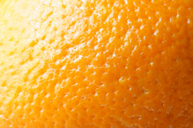 Similar image 502602