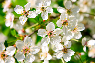 Similar image 502610