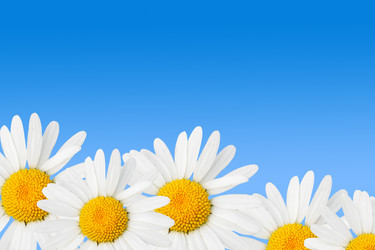 Similar image 502618