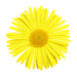 Similar image 502636