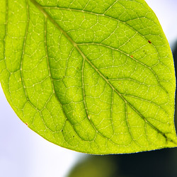 Similar image 502640