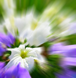 Similar image 502646