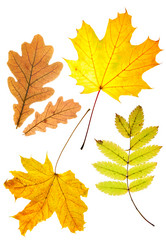 Similar image 502649