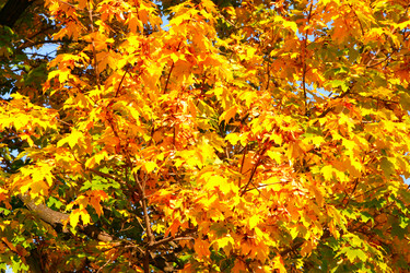 Similar image 502651