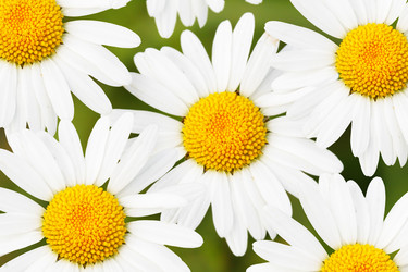 Similar image 502656