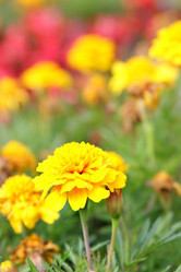 Similar image 502661