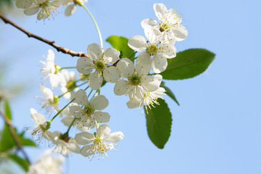 Similar image 502666