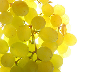 Similar image 502715