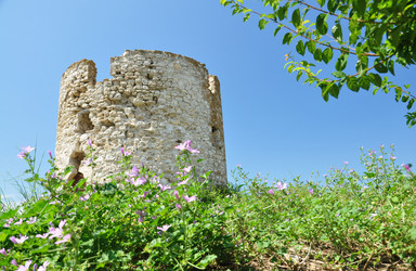 Similar image 502728