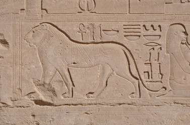 Similar image 502729