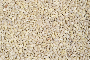 Similar image 502733