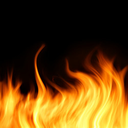 Similar image 502736