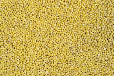 Similar image 502738