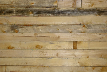 Similar image 502742