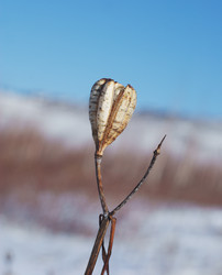 Similar image 502761