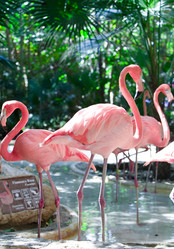 Similar image 502769