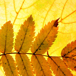 Similar image 502785