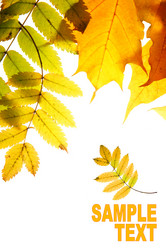 Similar image 502793