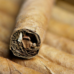 Similar image 502824