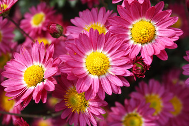 Similar image 502826