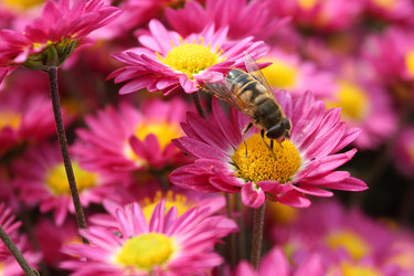 Similar image 502827