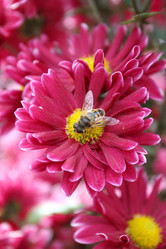 Similar image 502830