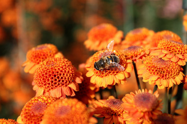 Similar image 502833