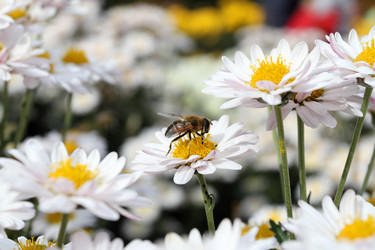 Similar image 502834