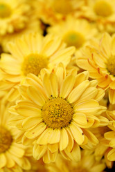 Similar image 502836