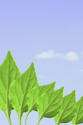 Similar image 502850