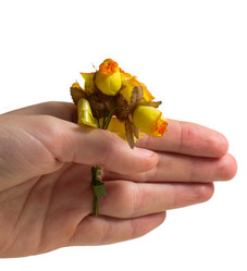 Similar image 502875