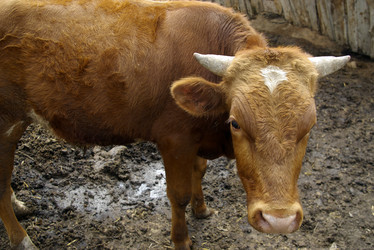 Similar image 502883